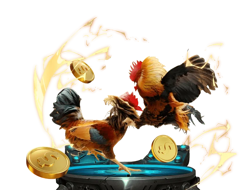 Giao diện nền tảng đá gà trực tuyến ku 3933